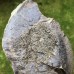 Stromatocystites pentagularis